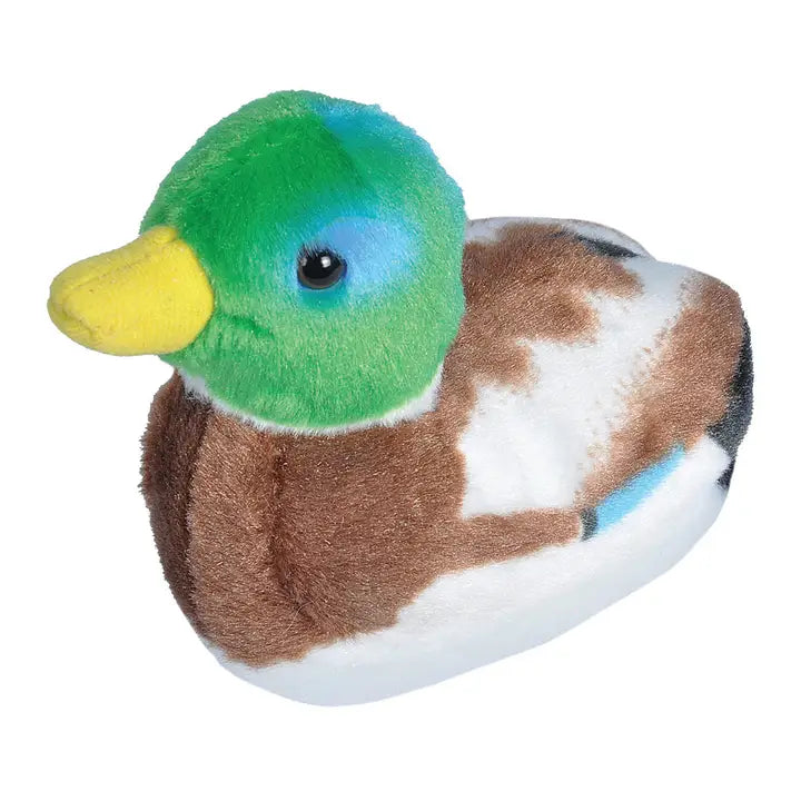 Audubon Bird Mallard Duck W Sound