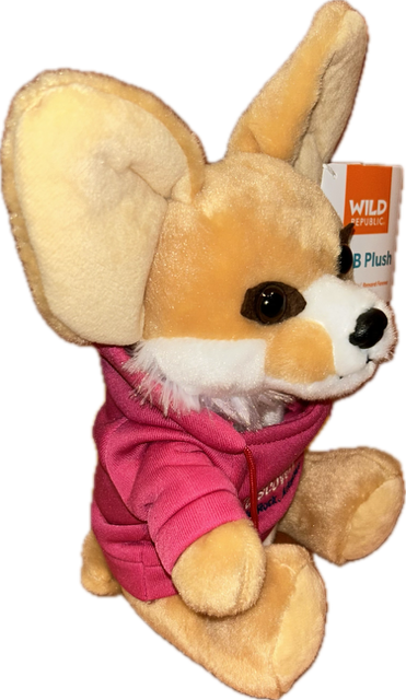 Fennec Fox MOD Hoody