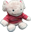 Axolotl MOD Hoodie