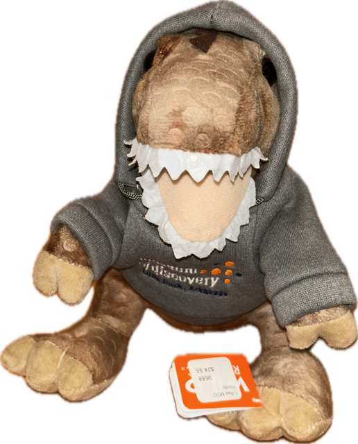 T-Rex MOD Hoody