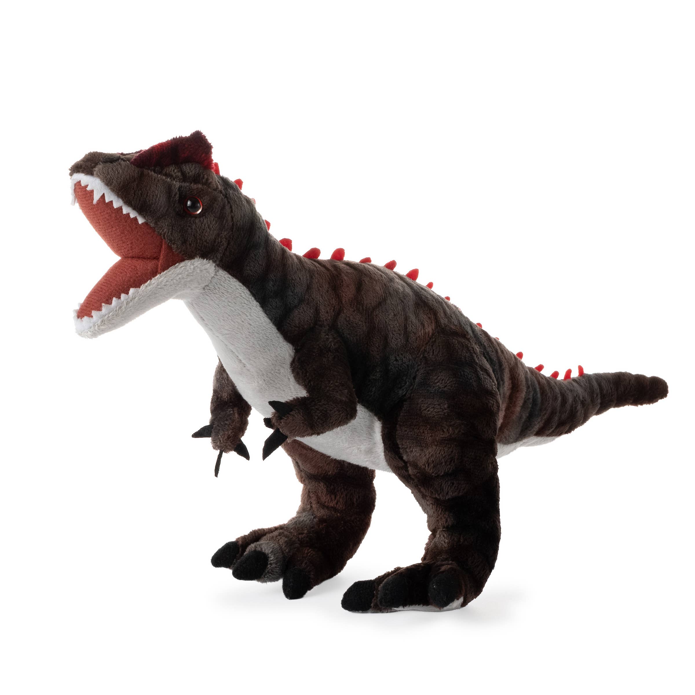 Dino/Dinosaur Allosaurus Small 15" (38cm)