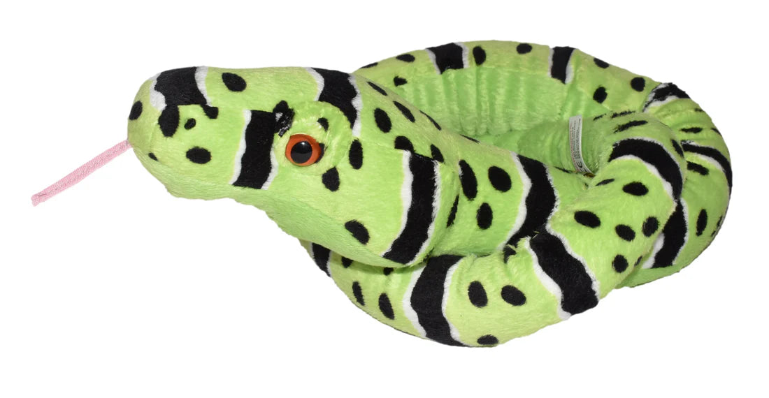 Green Rock Rattle Snake