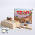 Discovery fossils dig kit