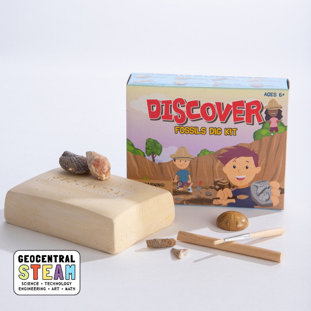 Discovery fossils dig kit
