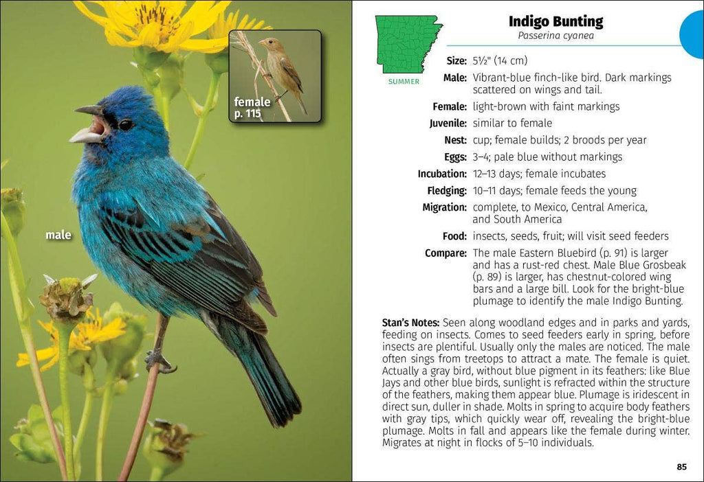 Birds of Arkansas Field Guide 2e