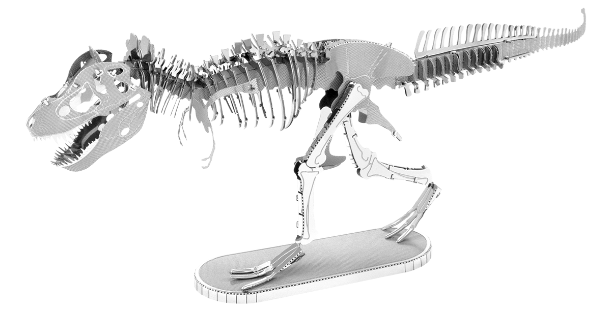 Tyrannosaurus Rex Skeleton