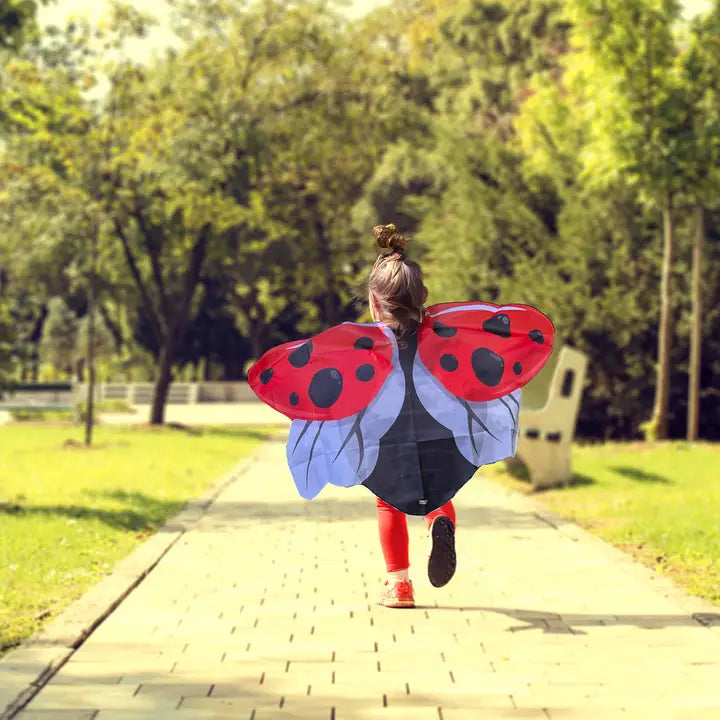 Ladybug Wings