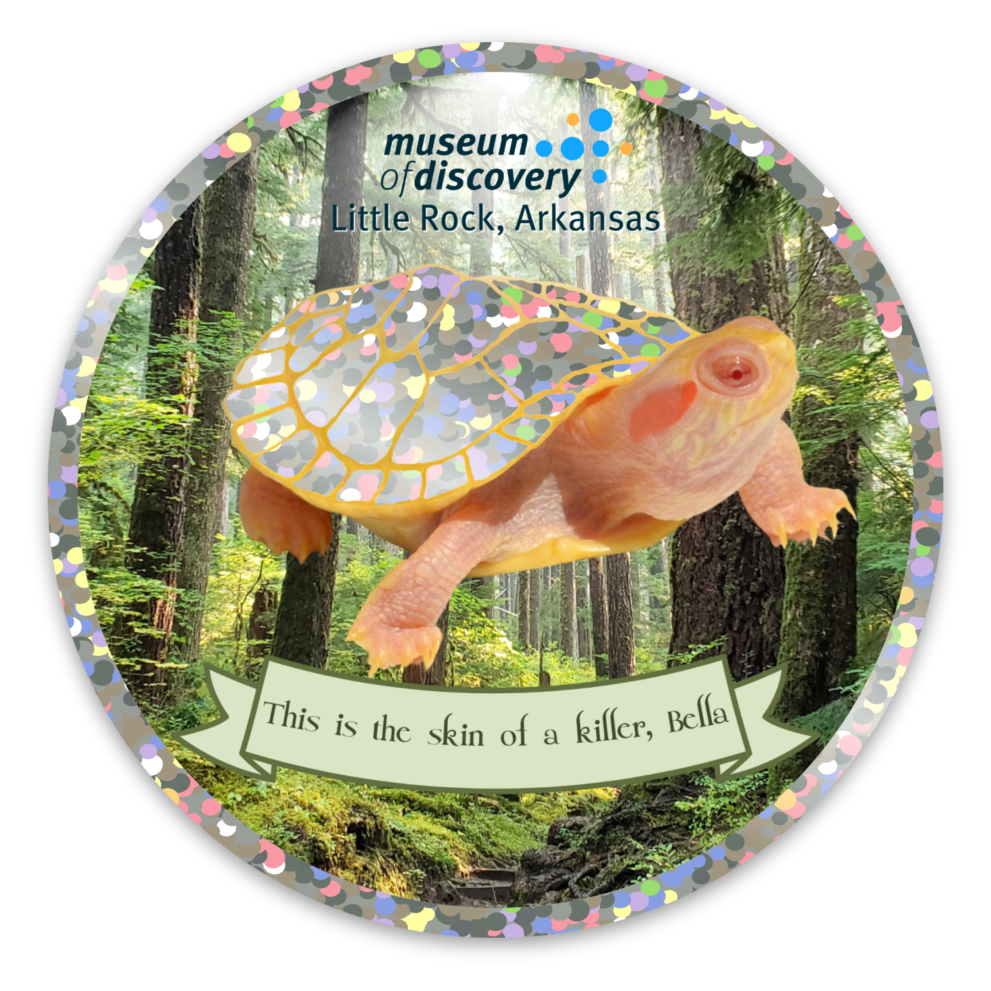 Turtle sticker