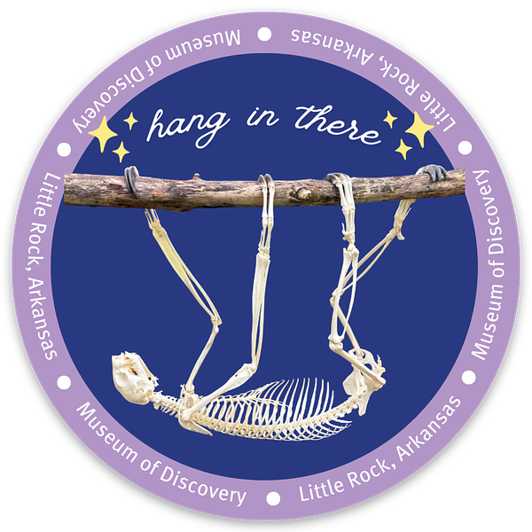 Hang in There Sticker