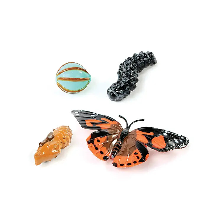 Butterfly Life Cycle Figurines