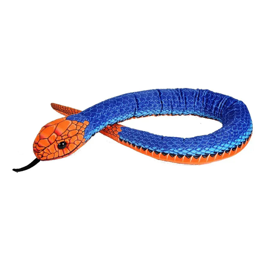Blue Coral Scales