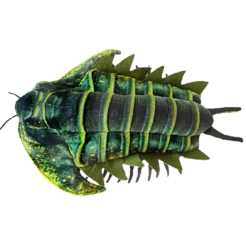 Green Trilobite
