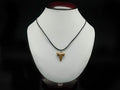 Fossil Shark Tooth Necklace