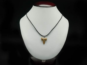 Fossil Shark Tooth Necklace