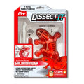 Dissect-It: Mini Salamander Lab