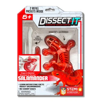 Dissect-It: Mini Salamander Lab