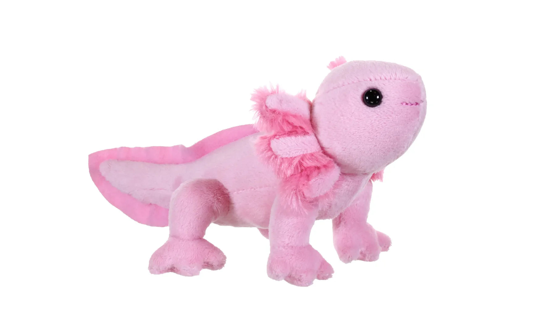 Pocketkins Axolotl