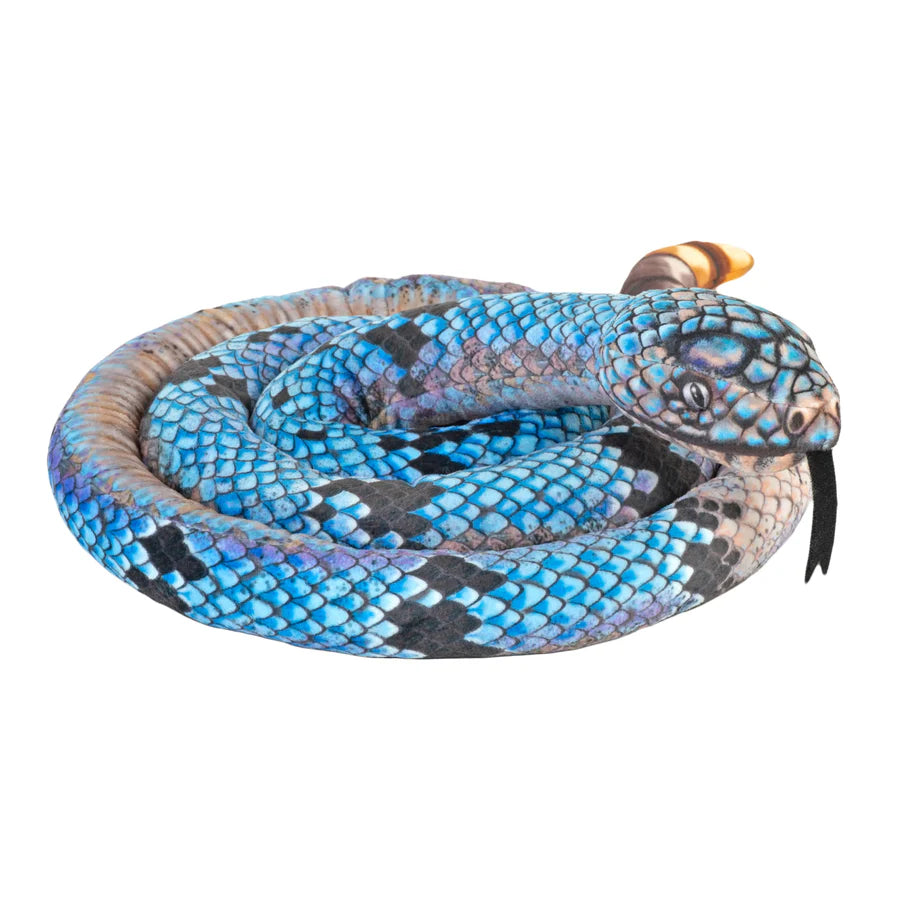 Snake Blue Rock Rattlesnake