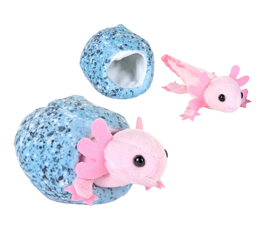 Hatching Axolotl