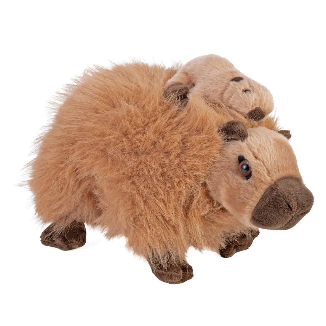 Mom & Baby Capybara