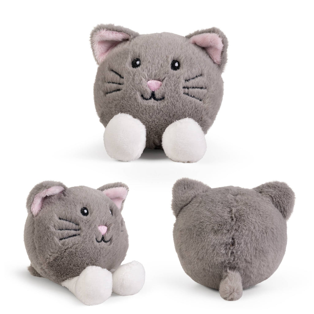 LITTLE PAWS Cat