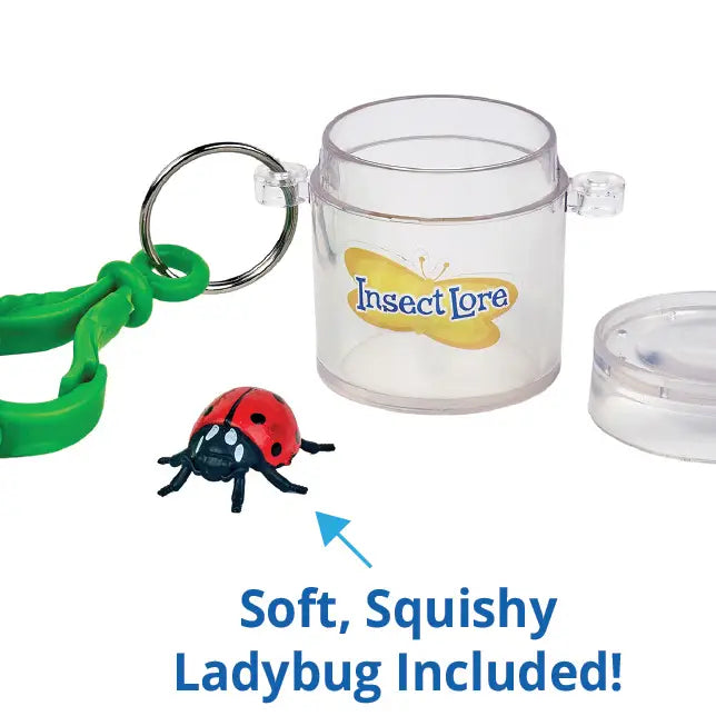 Little Bug Keeper