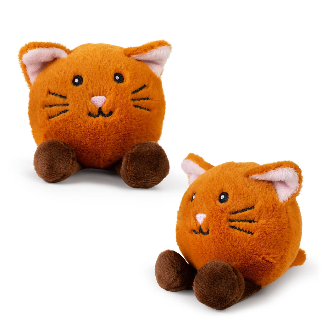 LITTLE PAWS Cat