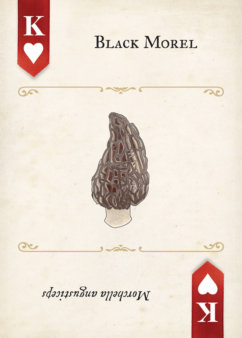 Fungi, Mushrooms & Lichens Playing Cards