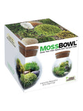 MossBowl Glass Terrarium with Live Moss and LED Light