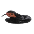 Bella Black snake