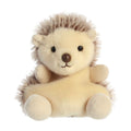 Hedgie Hedgehog