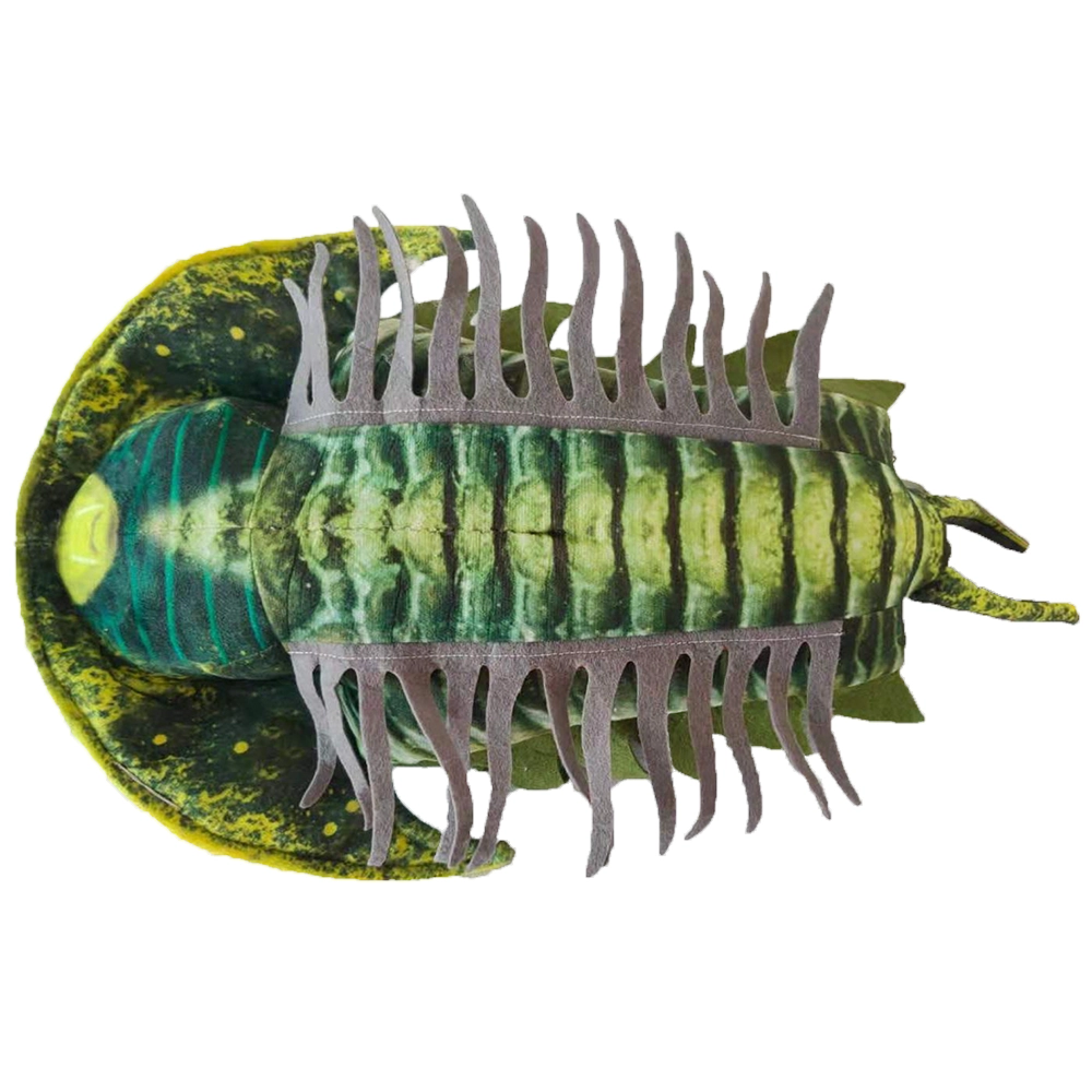 Green Trilobite