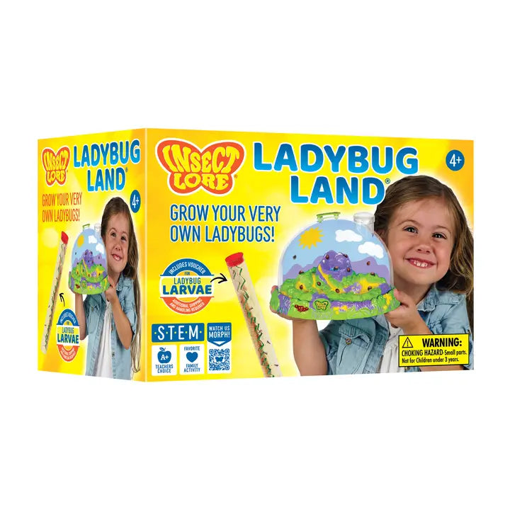 Ladybug Land