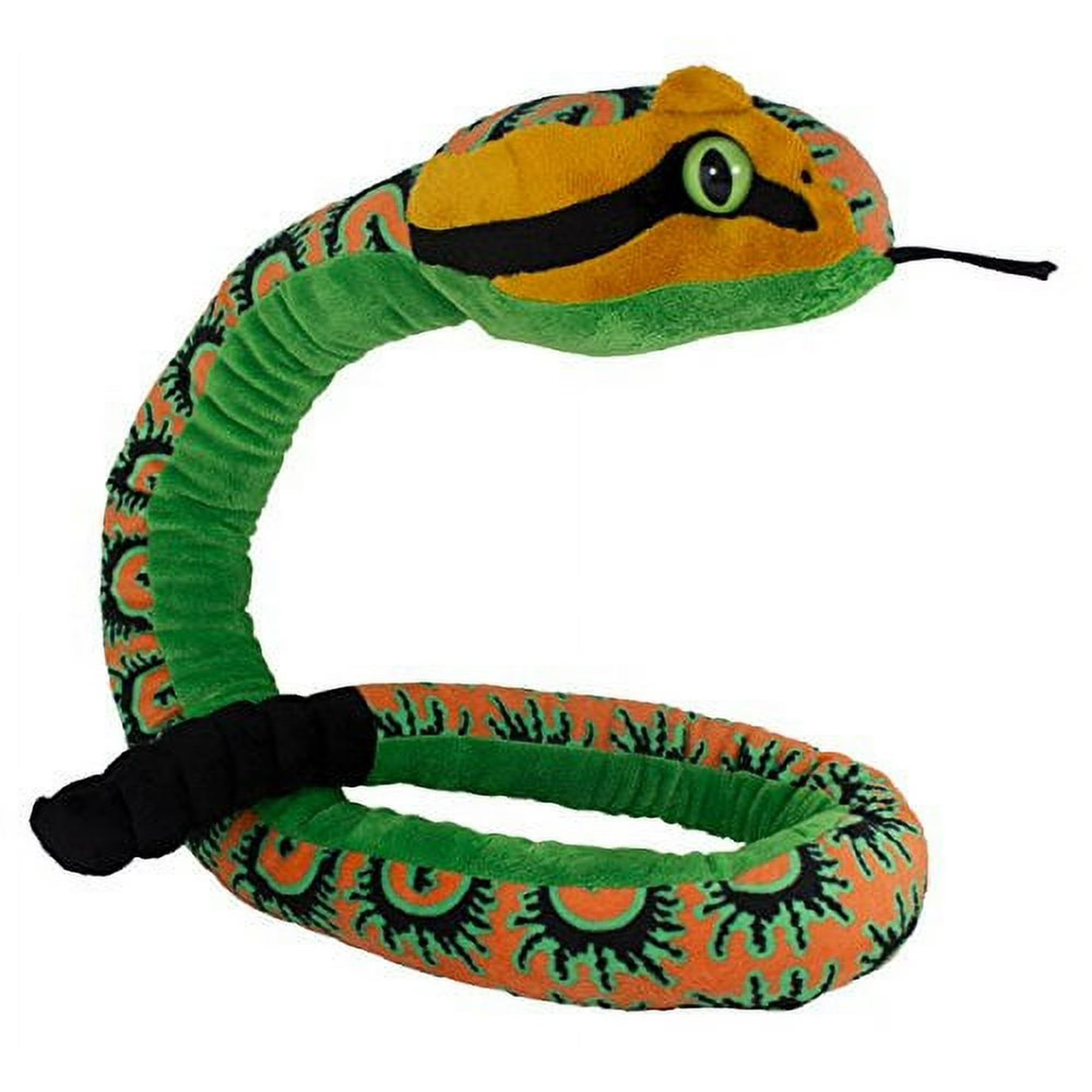 Snake Centipede