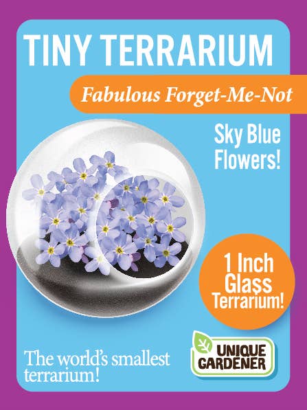 Tiny Terrariums Flowering with 6 Varieties