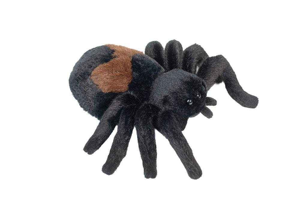 Sneakie Spider Soft