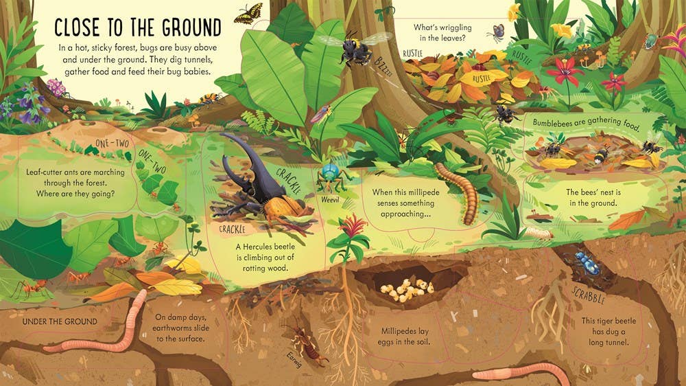 Look Inside Bug World : Usborne