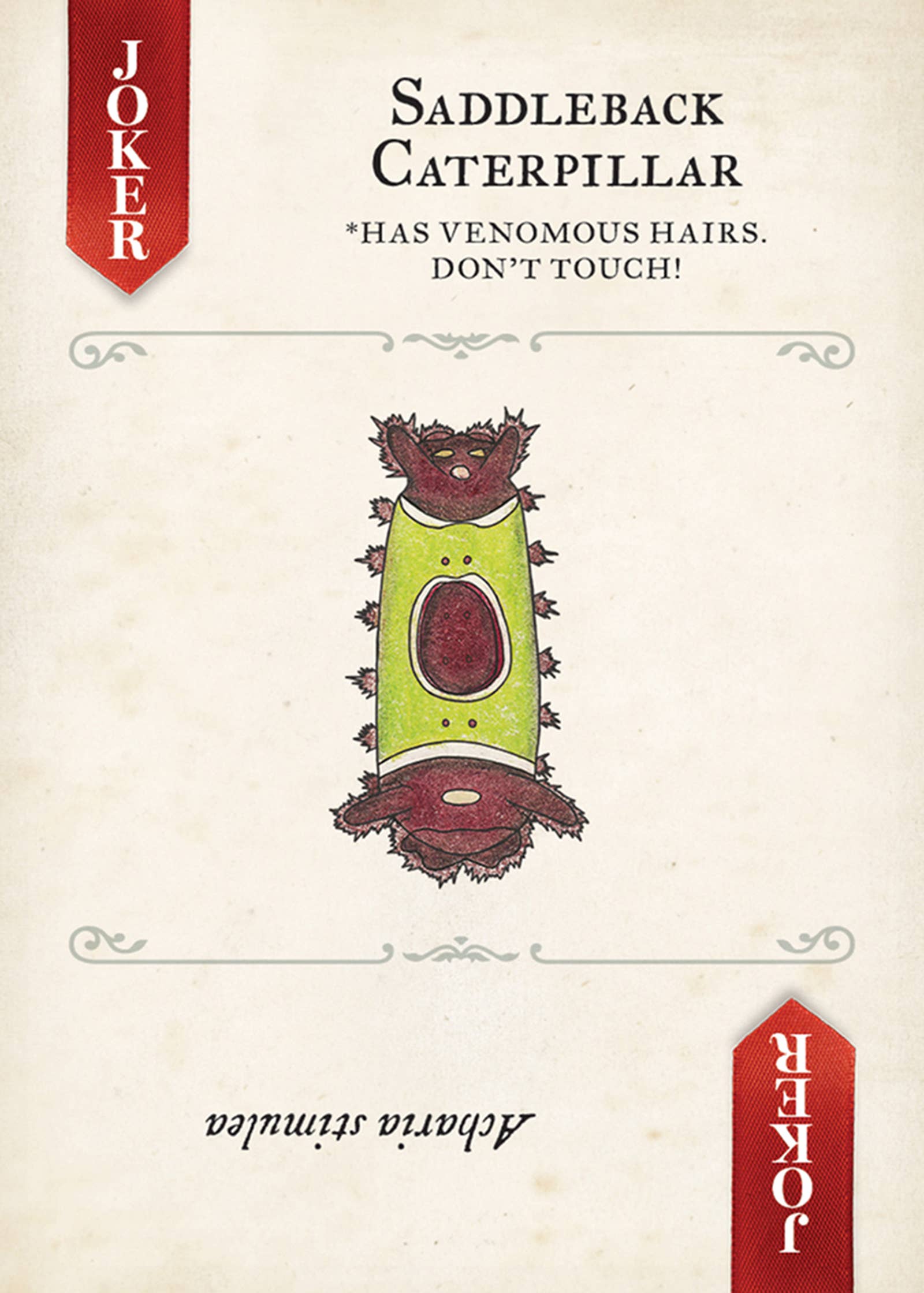Moths Playing Cards