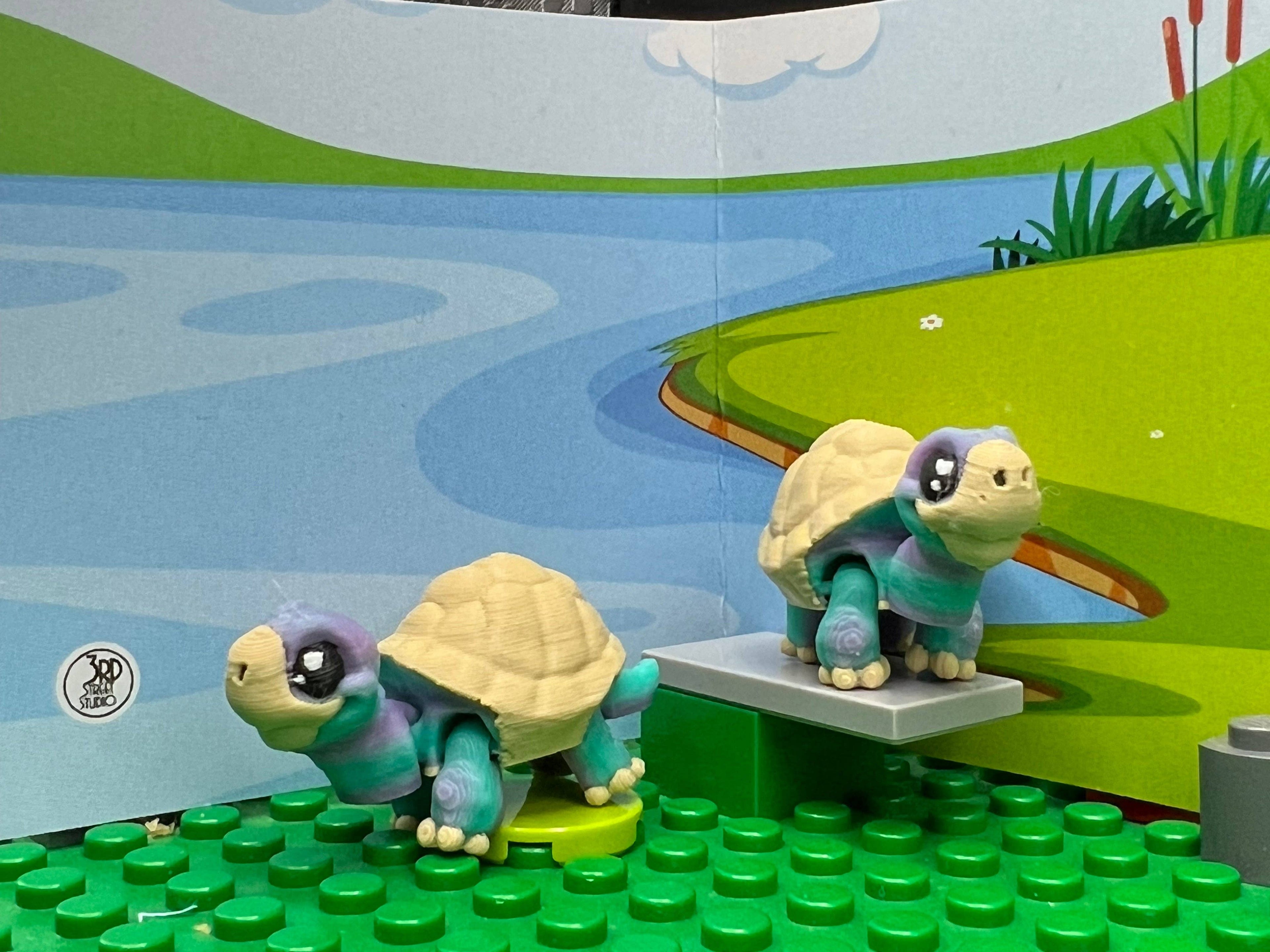 Turtle - Fidget Friend - Includes Play Scene