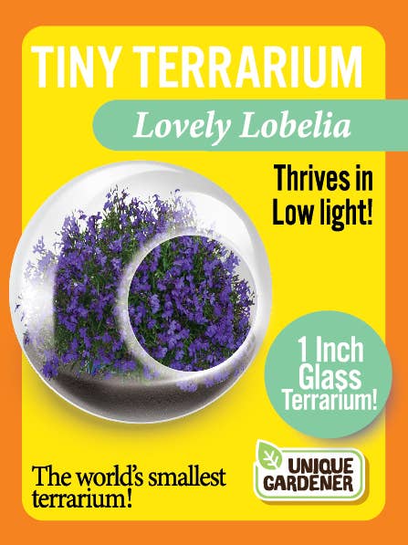 Tiny Terrariums Flowering with 6 Varieties