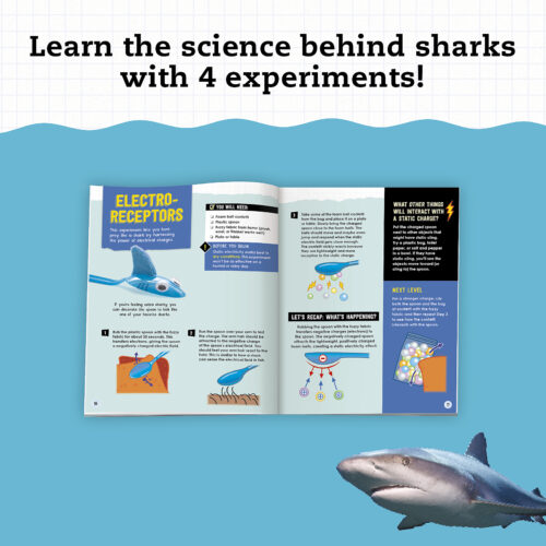 STEAM Lab Shark-Tastic Teeth!