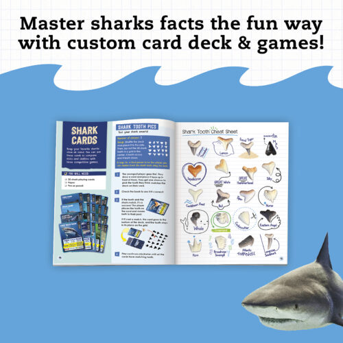 STEAM Lab Shark-Tastic Teeth!