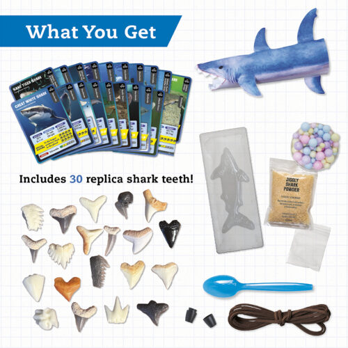 STEAM Lab Shark-Tastic Teeth!