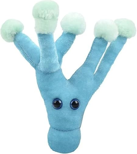 Penicillin microbe