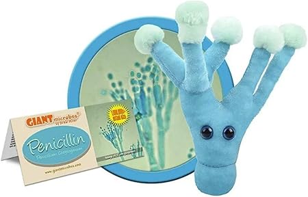 Penicillin microbe