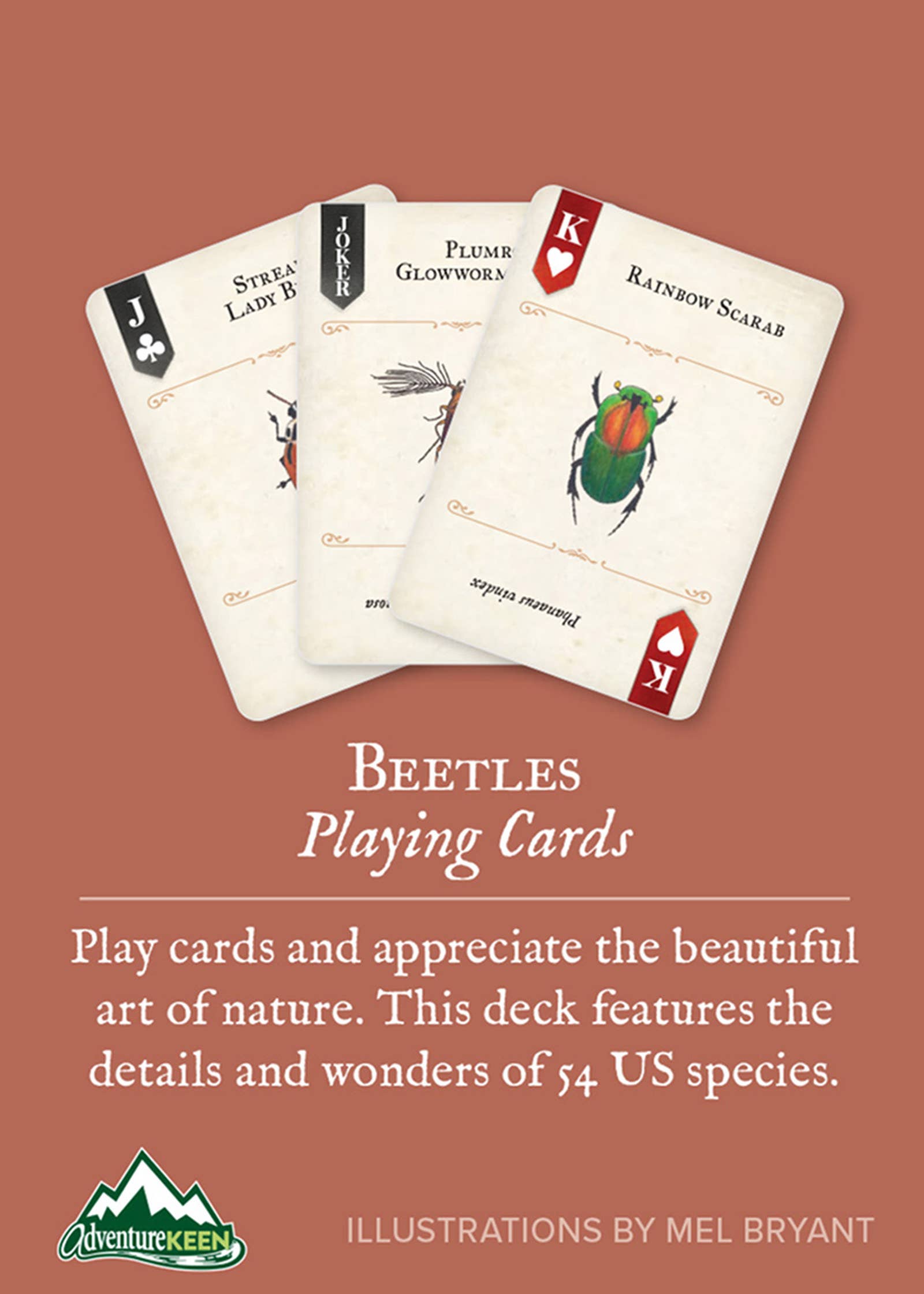 Beetles Playing Cards