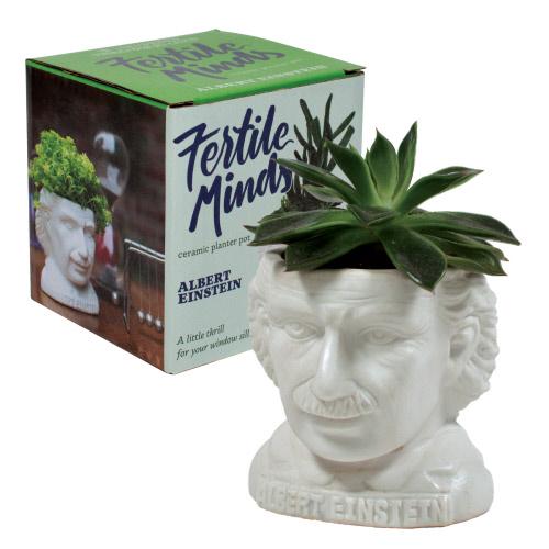 Albert Einstein Planter Bust