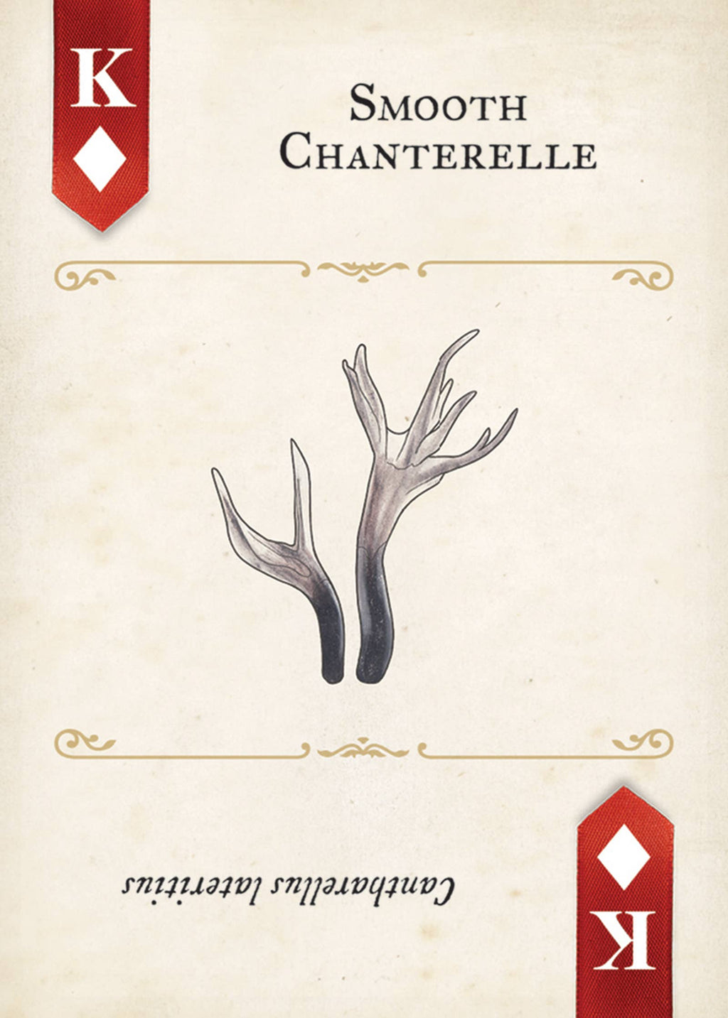 Fungi, Mushrooms & Lichens Playing Cards