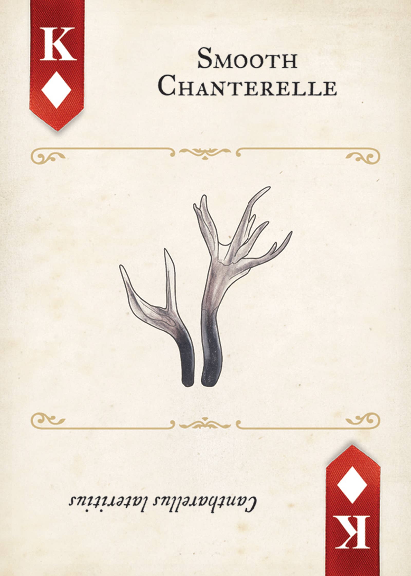 Fungi, Mushrooms & Lichens Playing Cards