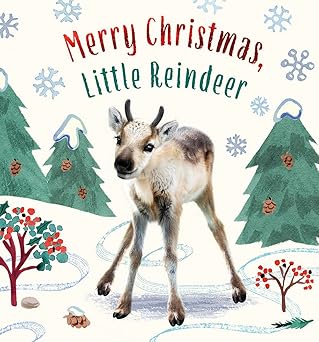 Merry Christmas little Reindeer